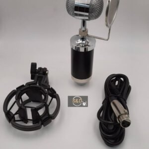 BM-3000 Studio Recording Condenser Microphone