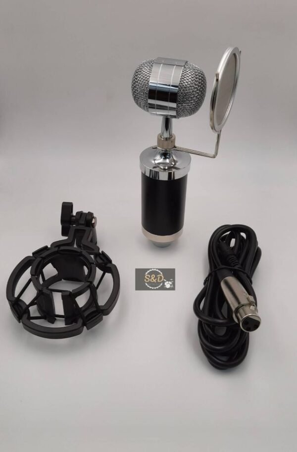 BM-3000 Studio Recording Condenser Microphone