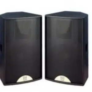 Martin F12 blackline passive speaker