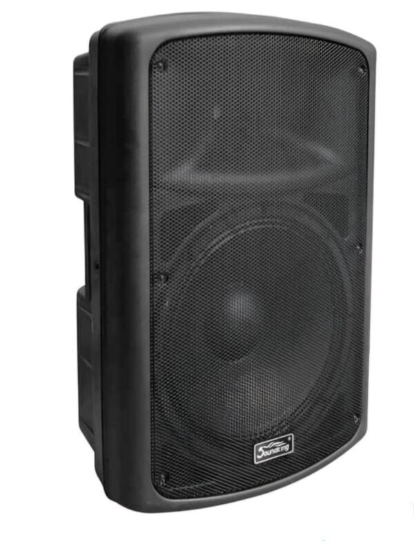 Soundking FP215A Active Speaker 15″