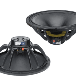 15 Inch Neodymium Speaker