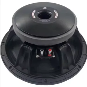 BM 12 AZ 16 TWELVE INCH NAKED SPEAKER