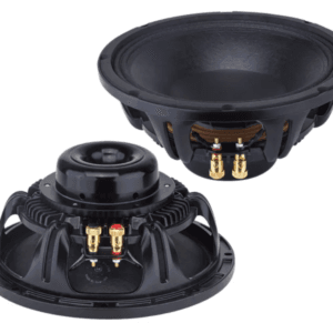 NR 10ND880 10 Inch Neodymium Naked Speaker